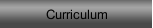 Curriculum