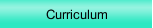 Curriculum